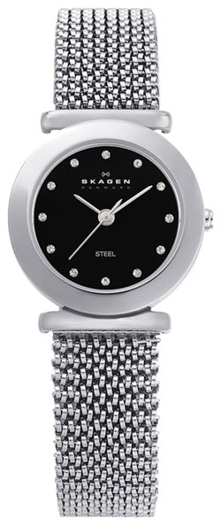 Женские наручные часы Skagen 107SSSB1