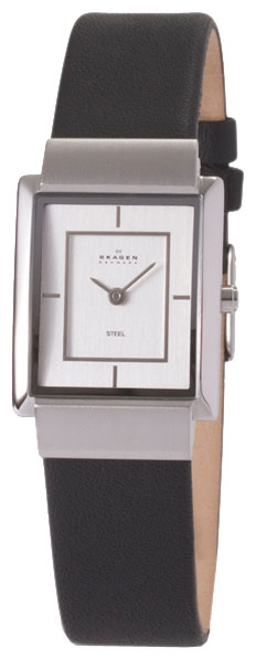 Женские наручные часы Skagen 224SSL