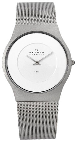 Мужские наручные часы Skagen 233XLSSS