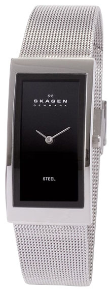 Женские наручные часы Skagen 359USSB