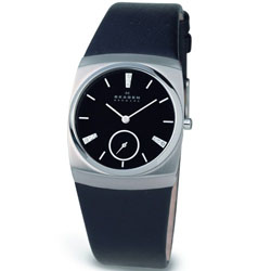 Женские наручные часы Skagen 511SSLB