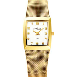 Женские наручные часы Skagen 523XSGG